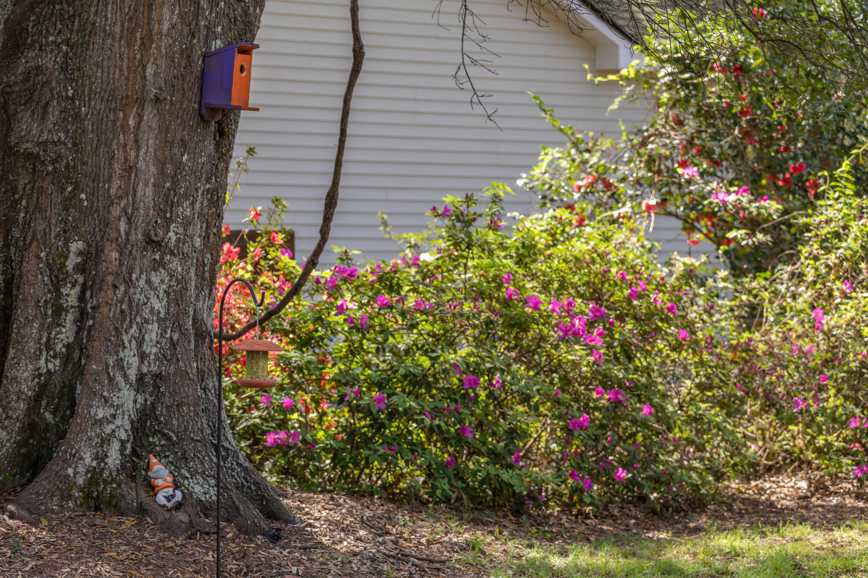 1246 Julian Clark Road Charleston, SC 29412 - Photo 13 of 17 Yard