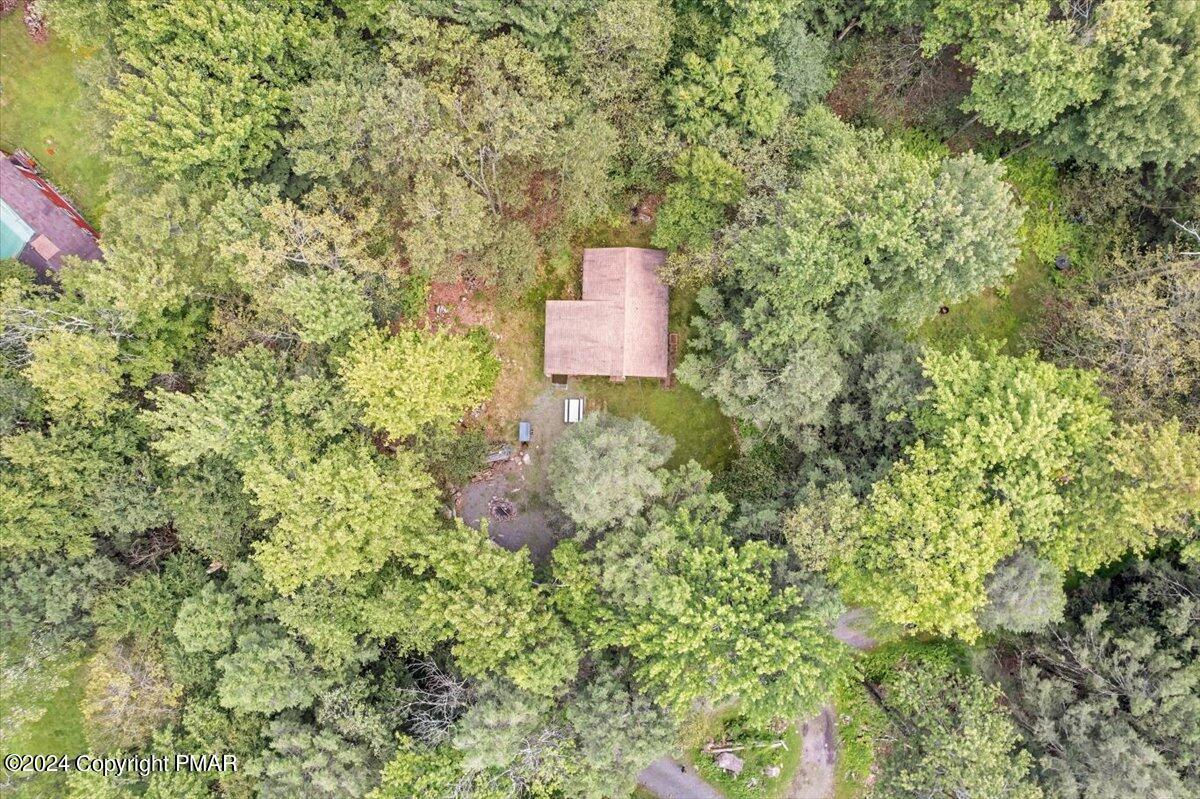 47 Red Wing Path Gouldsboro, PA 18424 - Photo 11 of 51 a picture of a tree with a house