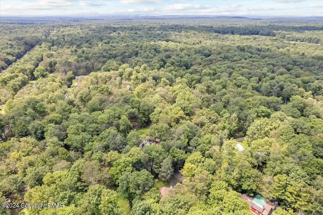 a view of a big yard with lots of bushes