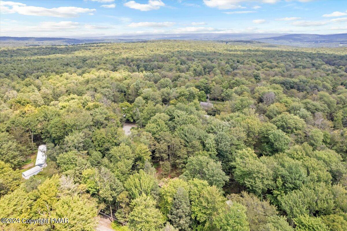 47 Red Wing Path Gouldsboro, PA 18424 - Photo 15 of 51 a view of a yard with an outdoor space