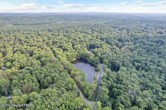 a bathroom with a shower and a toilet