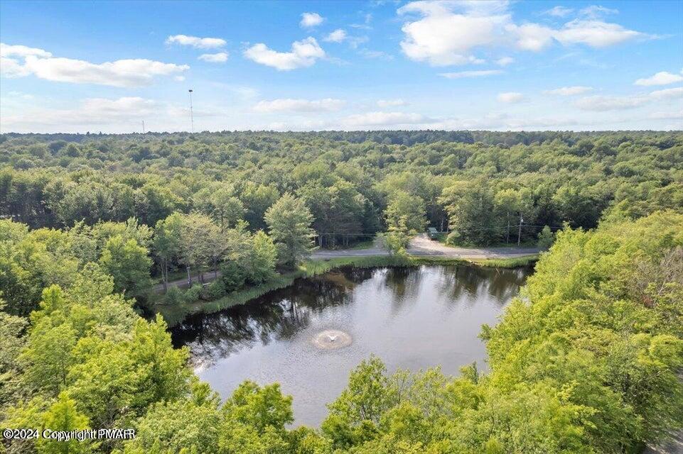 47 Red Wing Path Gouldsboro, PA 18424 - Photo 48 of 51 an aerial view of residential houses with outdoor space and trees all around