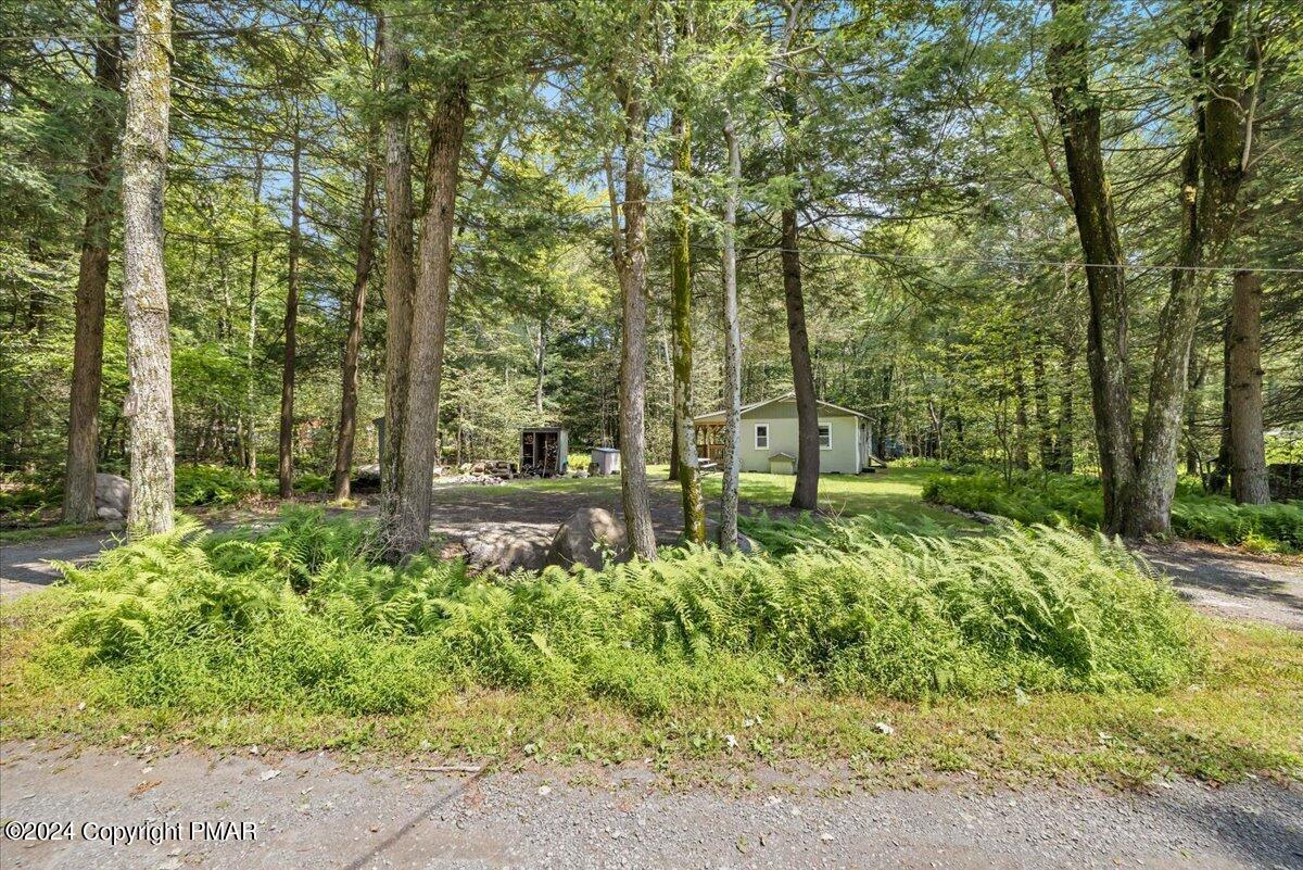 47 Red Wing Path Gouldsboro, PA 18424 - Photo 10 of 51 a view of a garden with trees