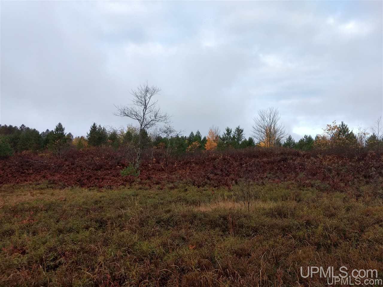 31-acres Chain Of Lakes Road Republic, MI 49879 - Photo 11 of 19 Gallery Image 11