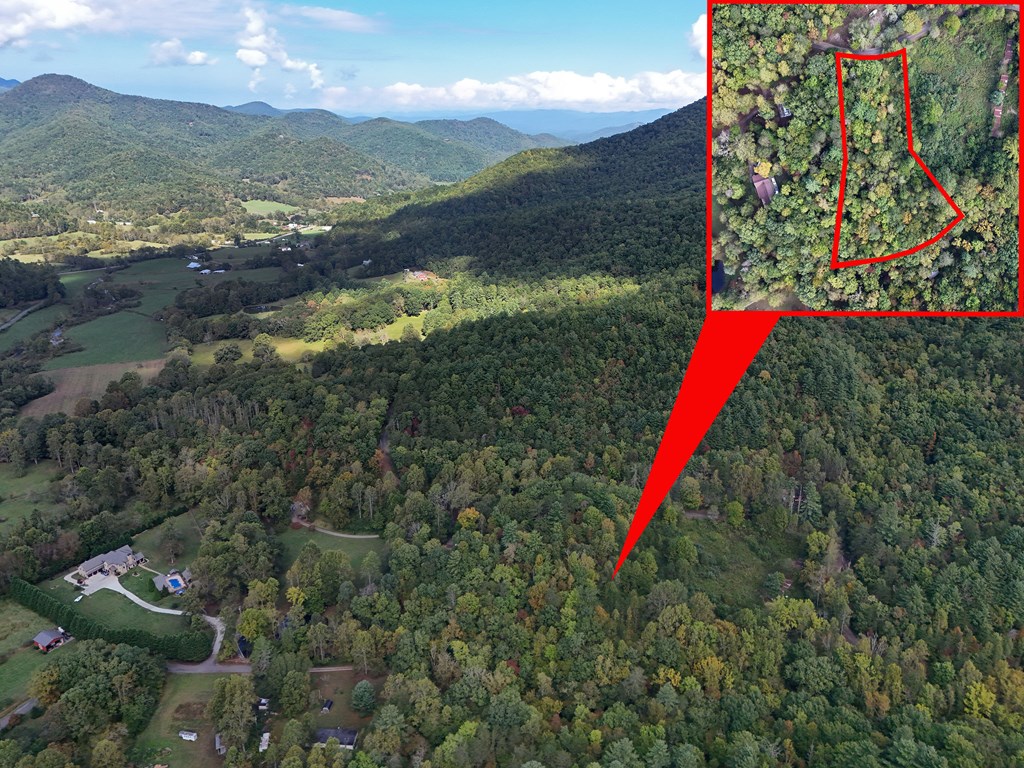 0 Mill Creek Road Hiawassee, GA 30546 - Photo 12 of 41