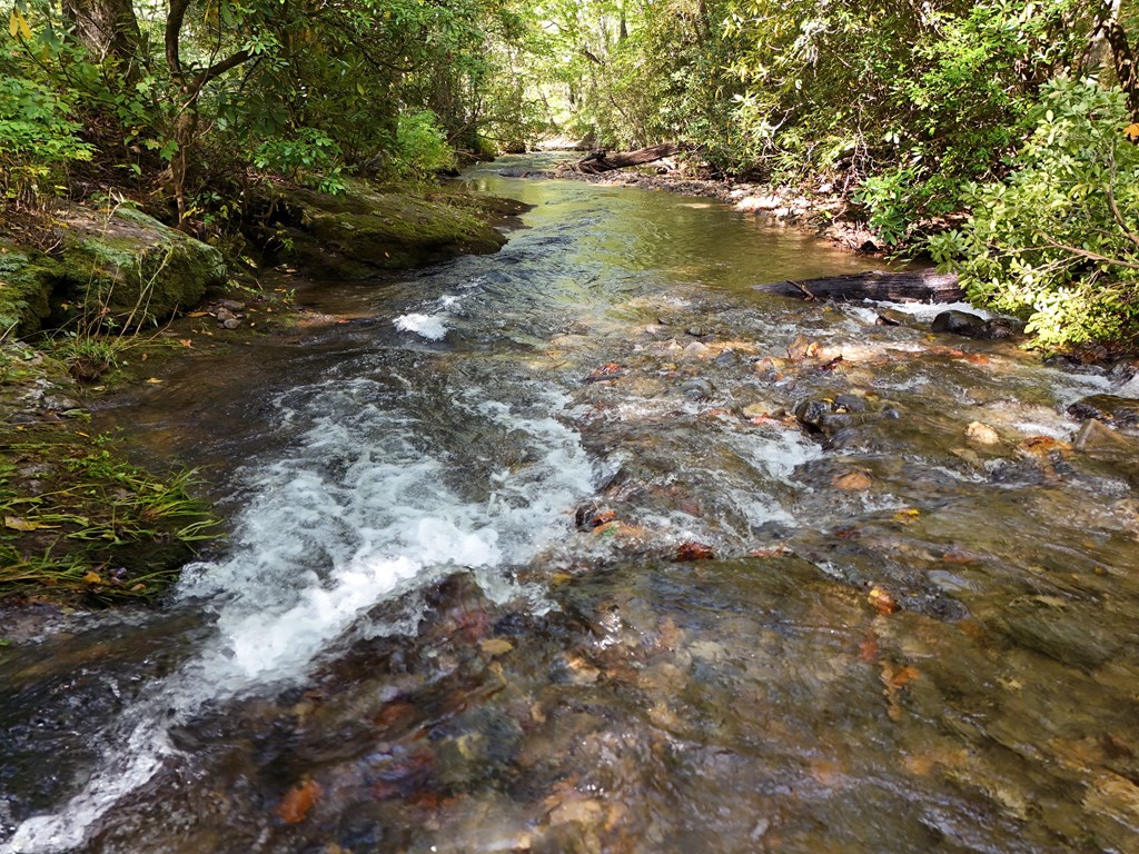 0 Mill Creek Road Hiawassee, GA 30546 - Photo 18 of 41