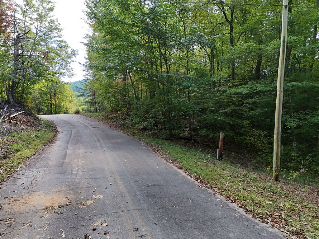 0 Mill Creek Road Hiawassee, GA 30546 - Photo 2 of 41