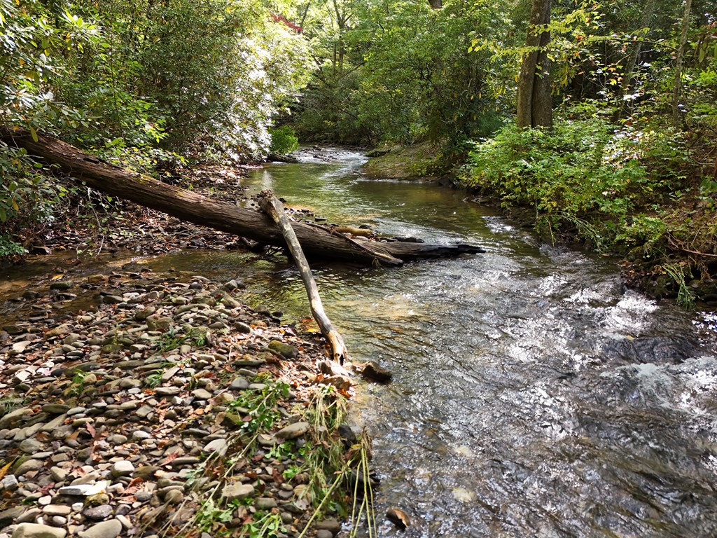 0 Mill Creek Road Hiawassee, GA 30546 - Photo 21 of 41