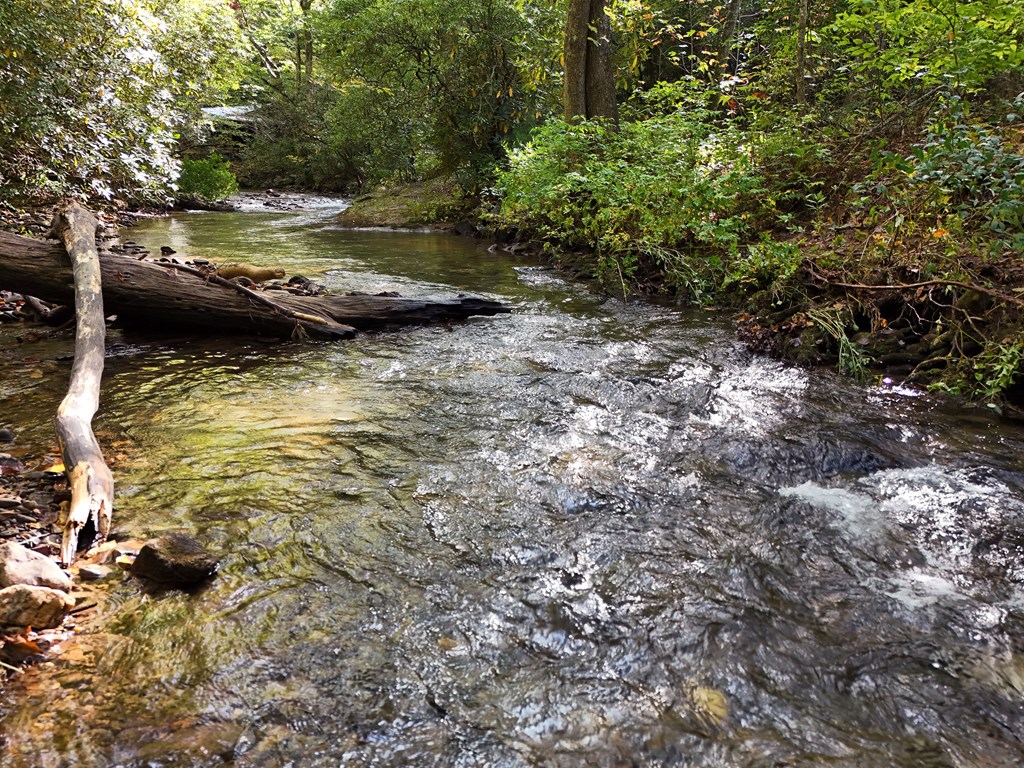 0 Mill Creek Road Hiawassee, GA 30546 - Photo 22 of 41