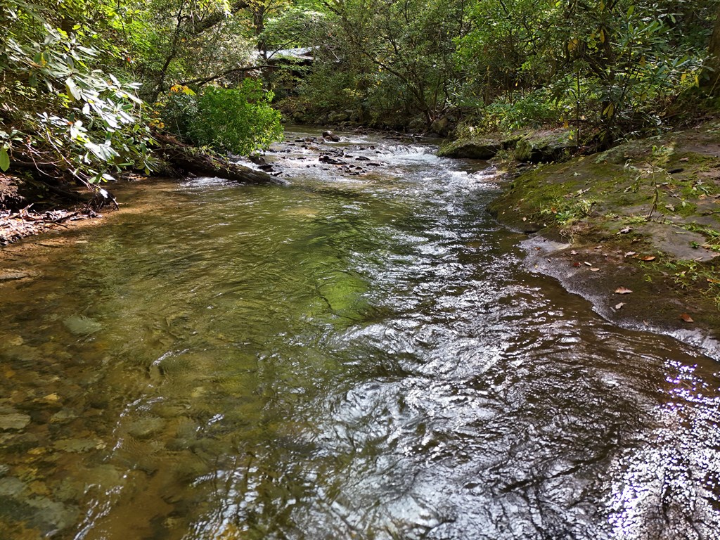 0 Mill Creek Road Hiawassee, GA 30546 - Photo 23 of 41