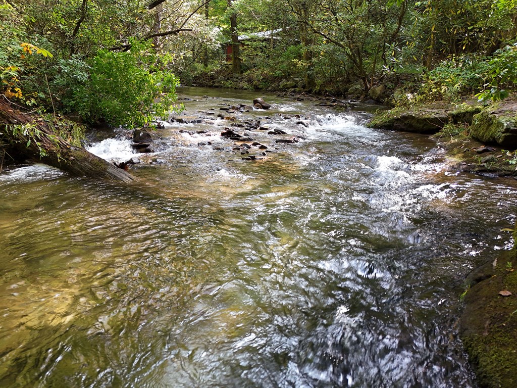0 Mill Creek Road Hiawassee, GA 30546 - Photo 24 of 41