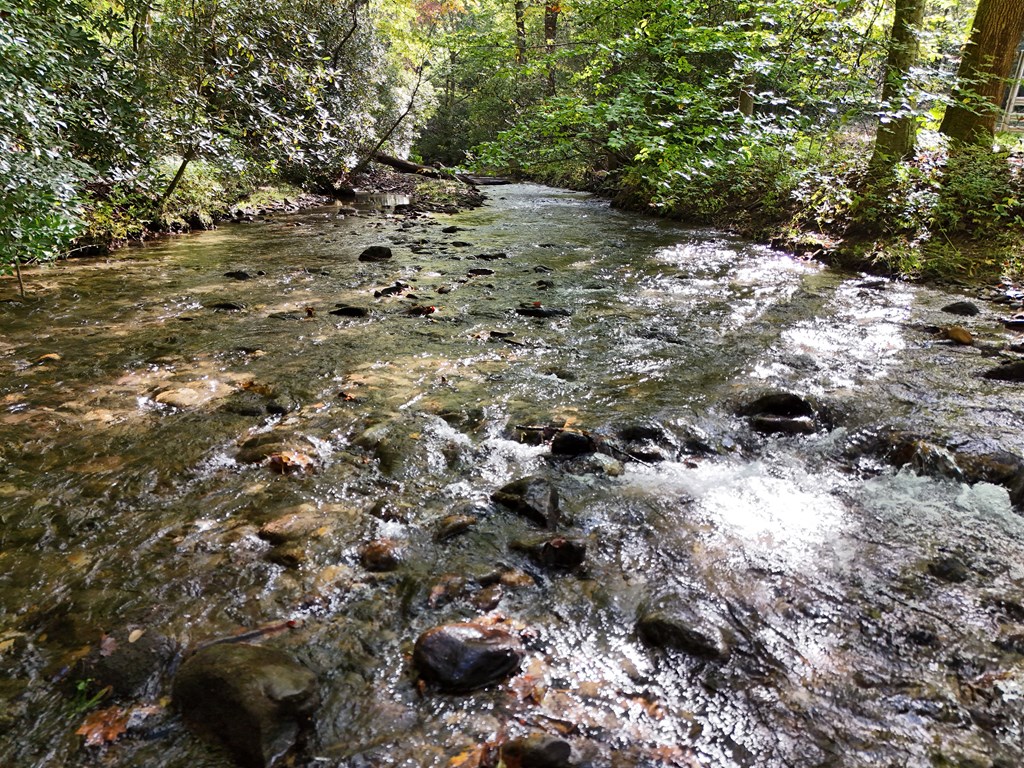 0 Mill Creek Road Hiawassee, GA 30546 - Photo 25 of 41