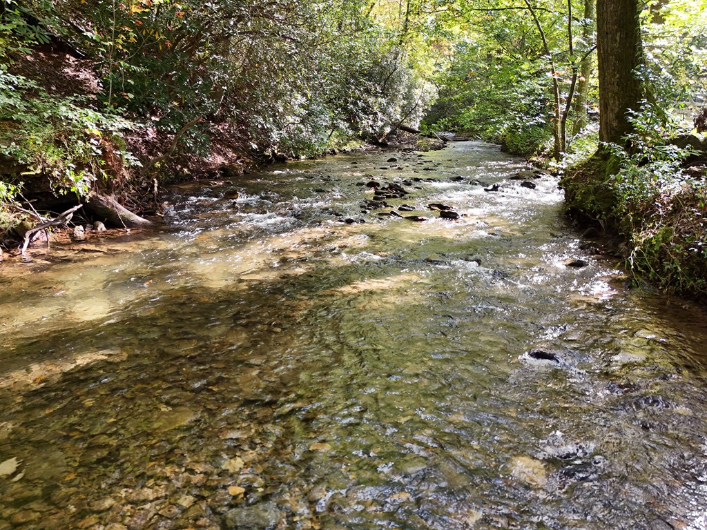 0 Mill Creek Road Hiawassee, GA 30546 - Photo 26 of 41