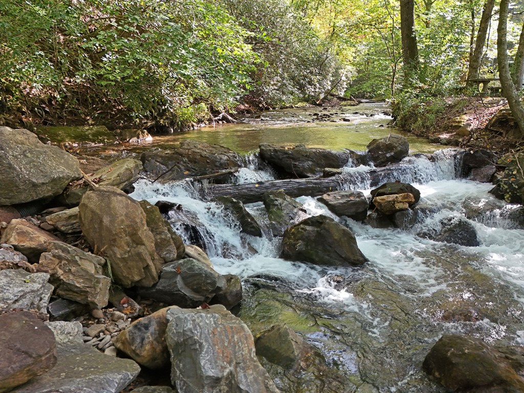 0 Mill Creek Road Hiawassee, GA 30546 - Photo 27 of 41