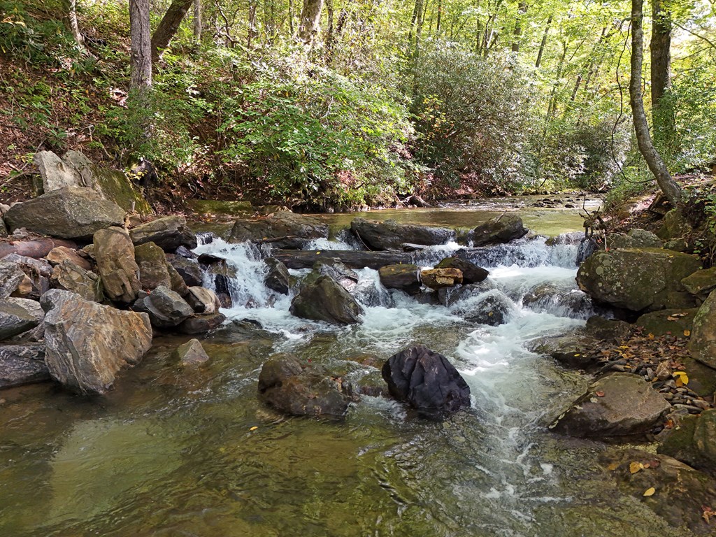 0 Mill Creek Road Hiawassee, GA 30546 - Photo 28 of 41