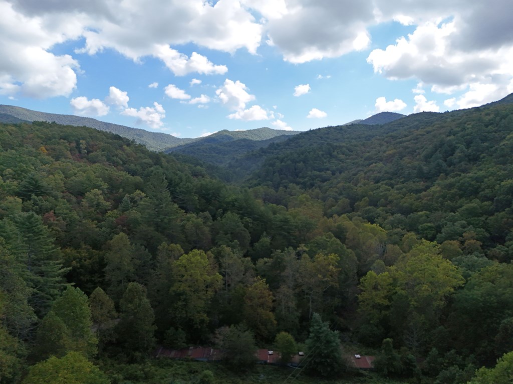0 Mill Creek Road Hiawassee, GA 30546 - Photo 29 of 41