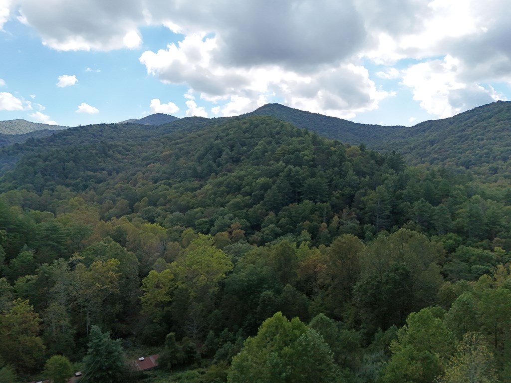 0 Mill Creek Road Hiawassee, GA 30546 - Photo 30 of 41