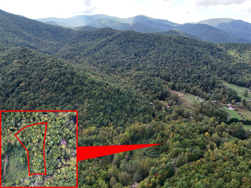 0 Mill Creek Road Hiawassee, GA 30546 - Photo 3 of 41