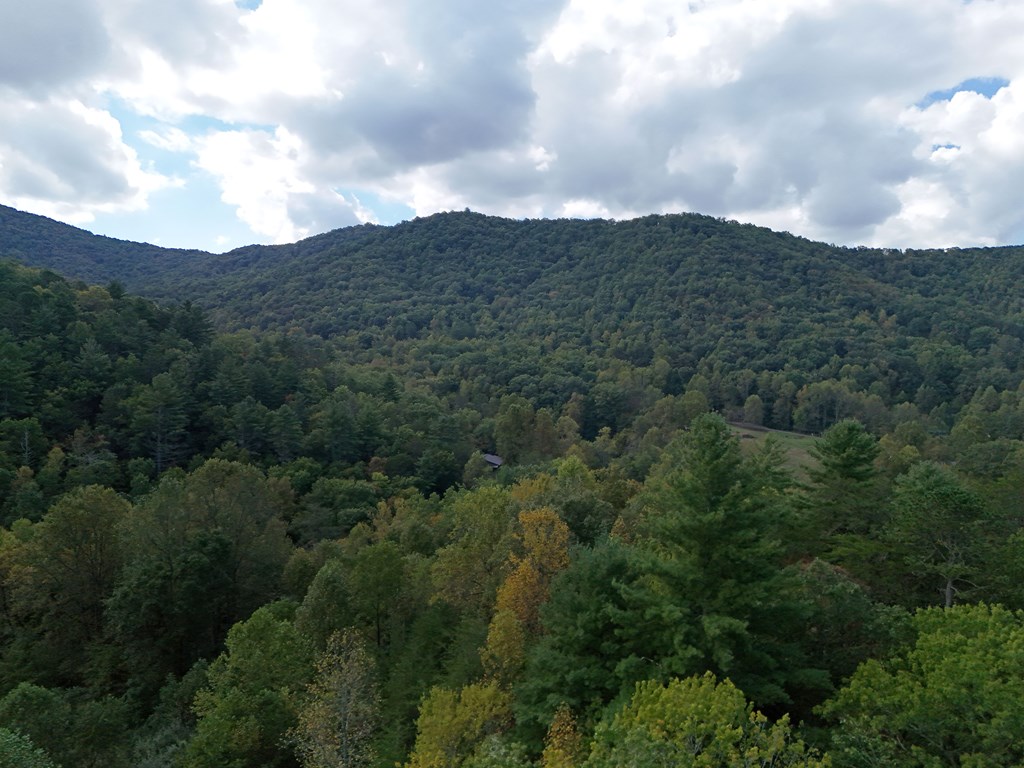 0 Mill Creek Road Hiawassee, GA 30546 - Photo 31 of 41