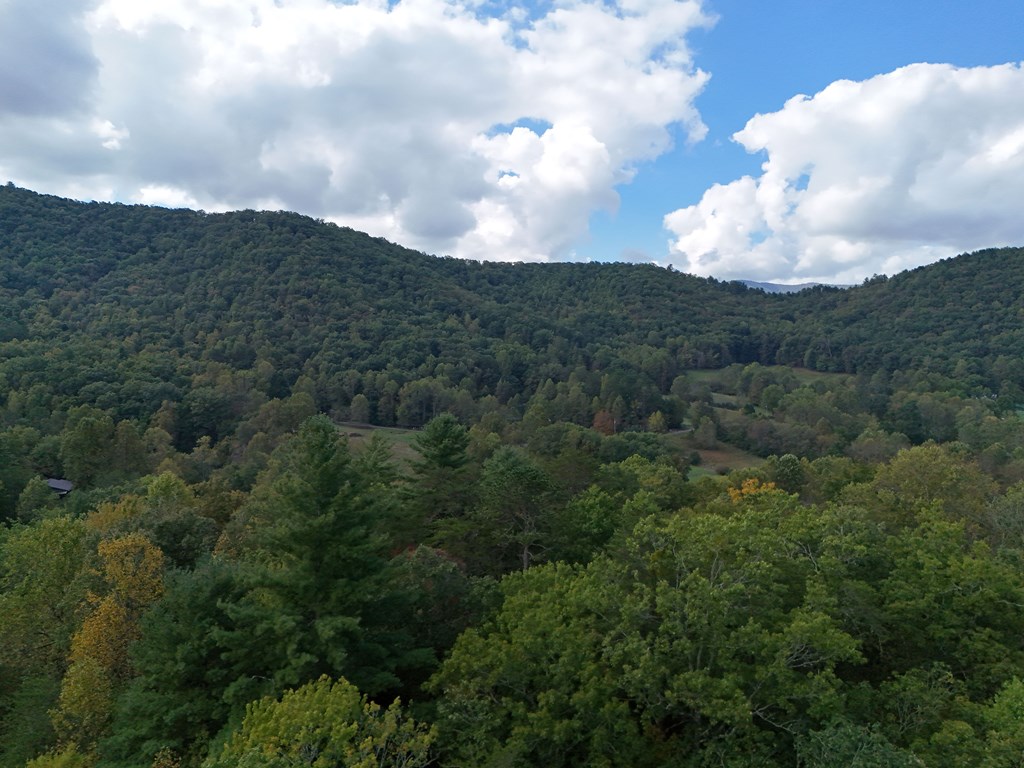 0 Mill Creek Road Hiawassee, GA 30546 - Photo 32 of 41