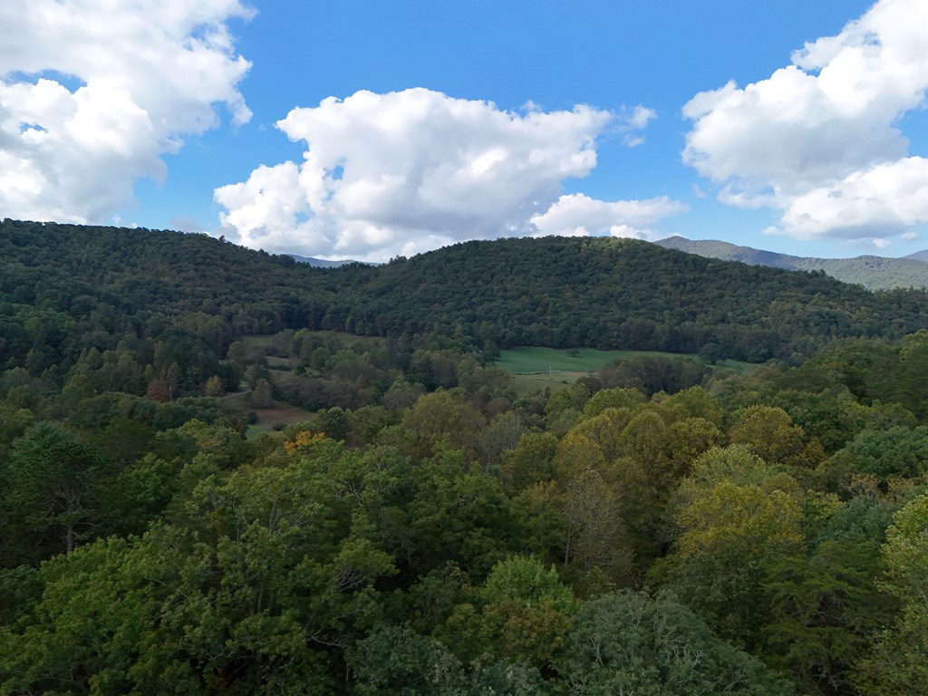 0 Mill Creek Road Hiawassee, GA 30546 - Photo 33 of 41