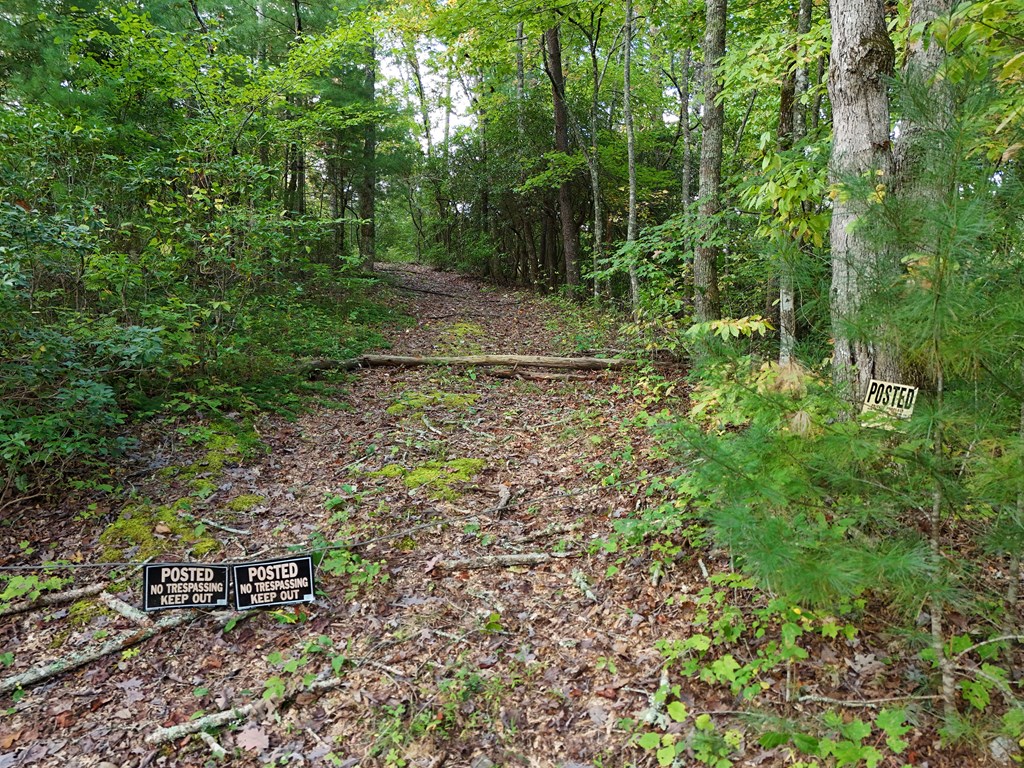 0 Mill Creek Road Hiawassee, GA 30546 - Photo 35 of 41