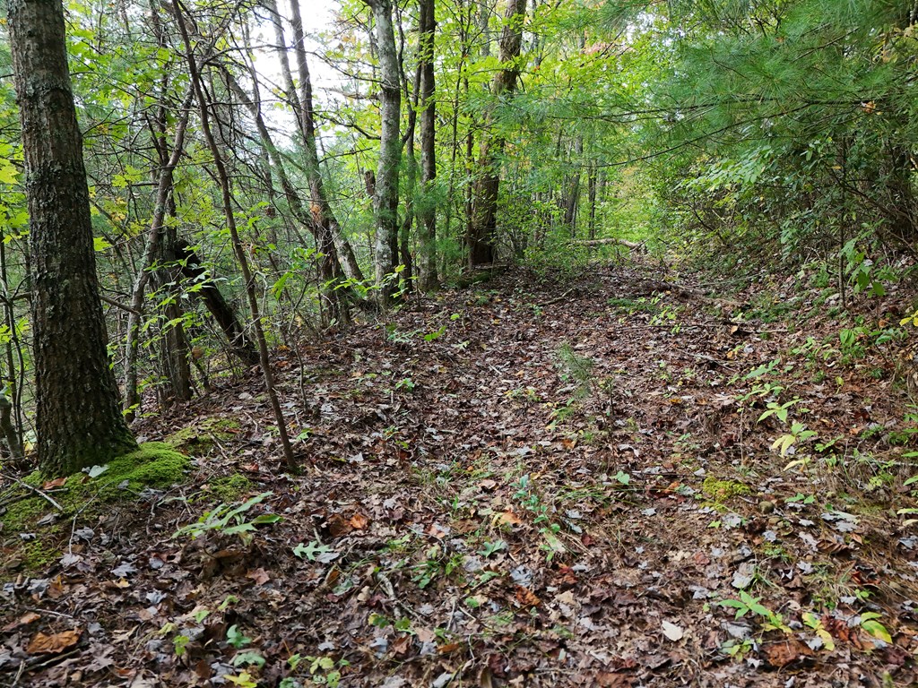0 Mill Creek Road Hiawassee, GA 30546 - Photo 36 of 41