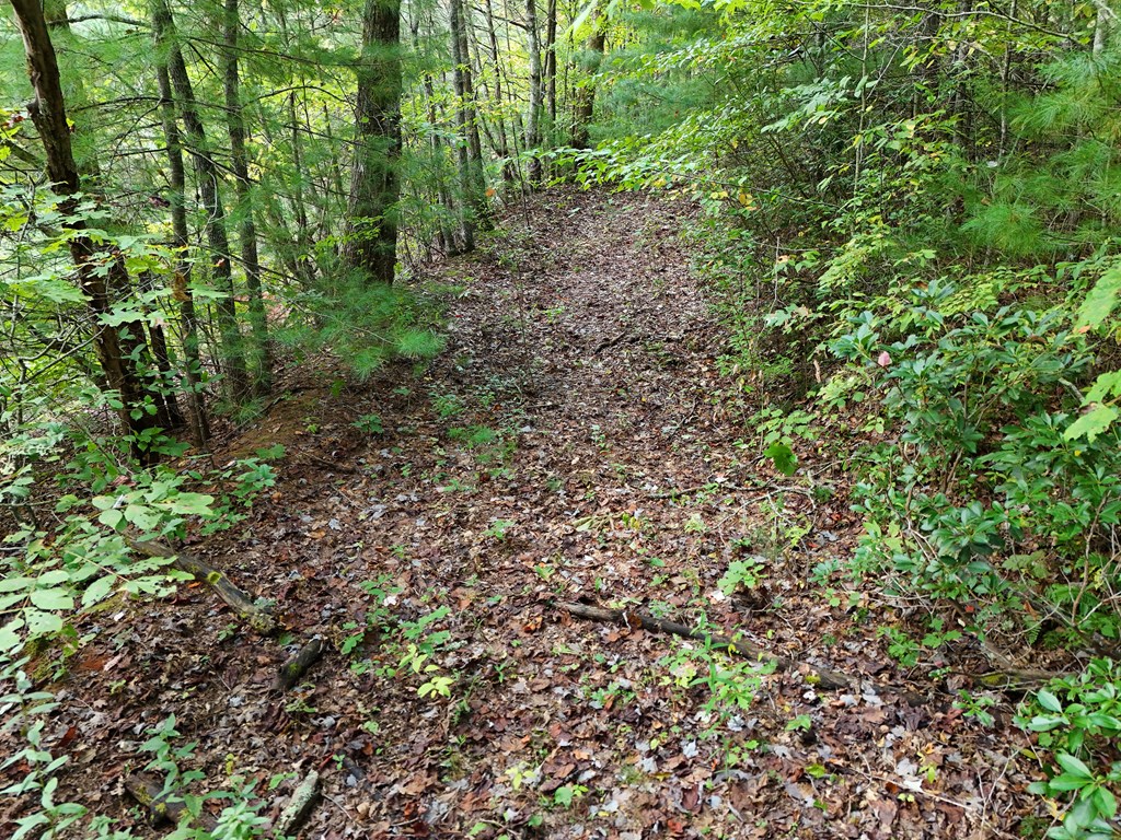 0 Mill Creek Road Hiawassee, GA 30546 - Photo 37 of 41