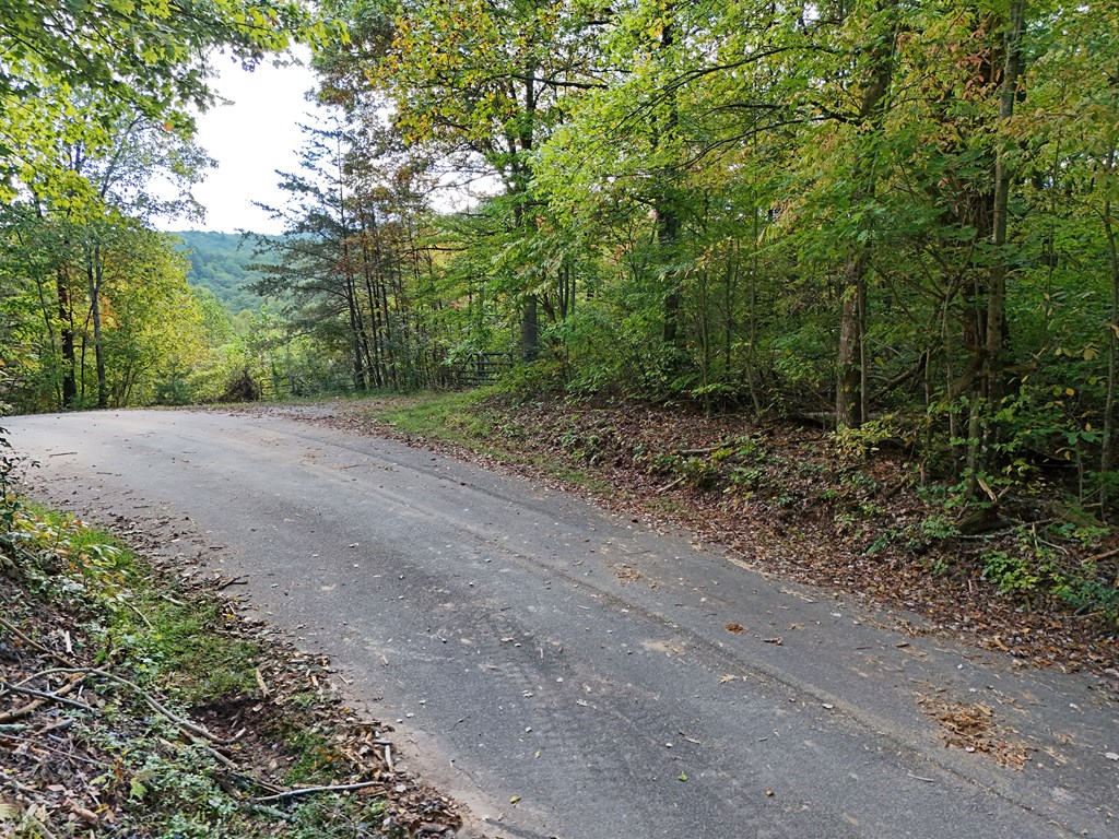 0 Mill Creek Road Hiawassee, GA 30546 - Photo 38 of 41