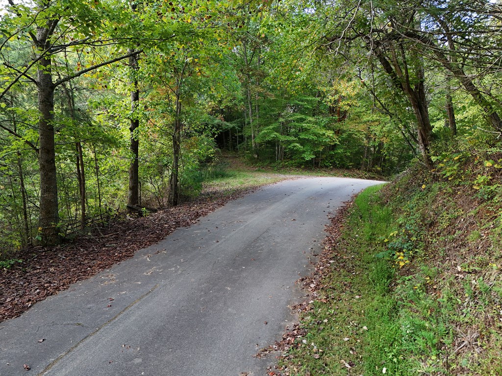 0 Mill Creek Road Hiawassee, GA 30546 - Photo 39 of 41