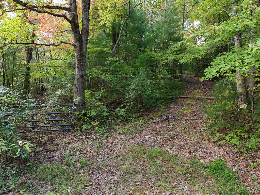 0 Mill Creek Road Hiawassee, GA 30546 - Photo 40 of 41