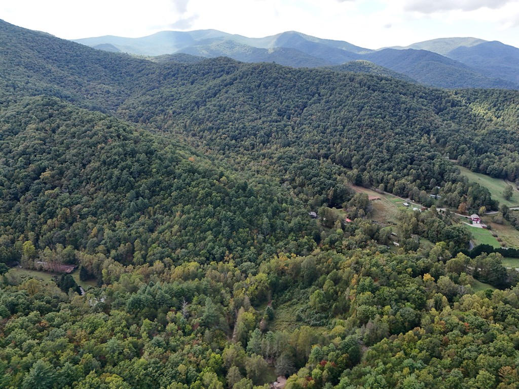 0 Mill Creek Road Hiawassee, GA 30546 - Photo 4 of 41