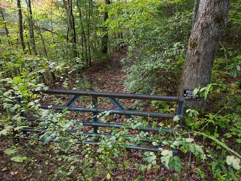 0 Mill Creek Road Hiawassee, GA 30546 - Photo 41 of 41