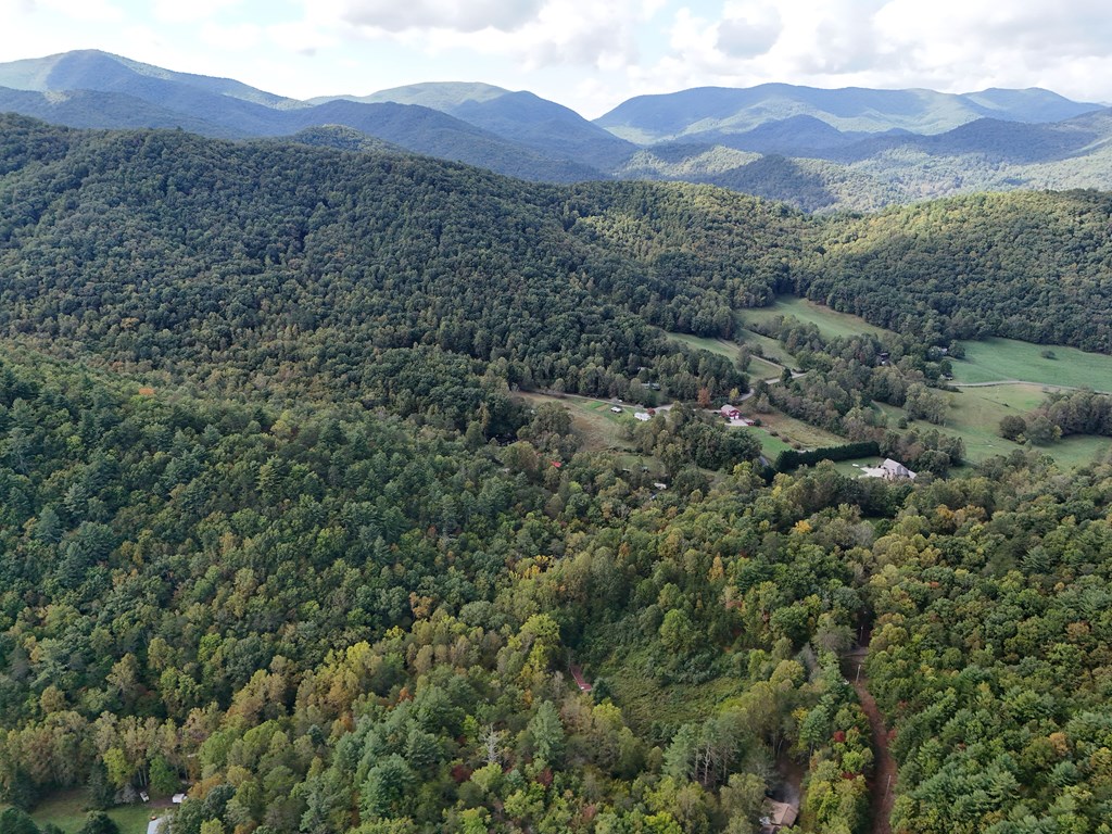 0 Mill Creek Road Hiawassee, GA 30546 - Photo 5 of 41