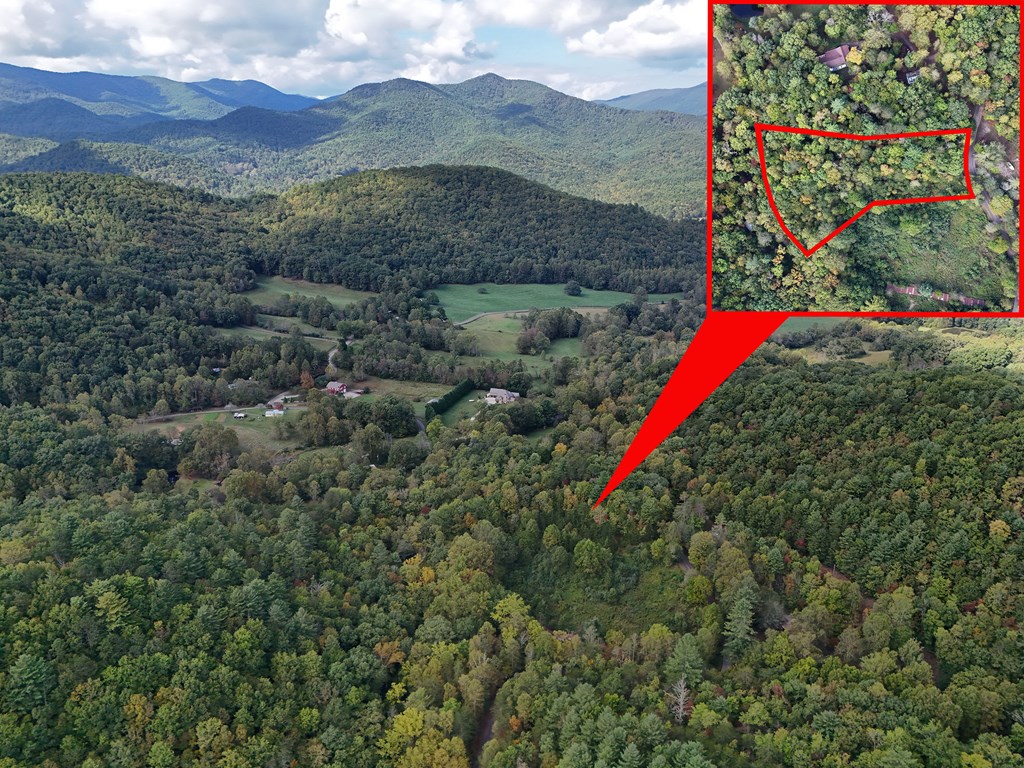 0 Mill Creek Road Hiawassee, GA 30546 - Photo 6 of 41