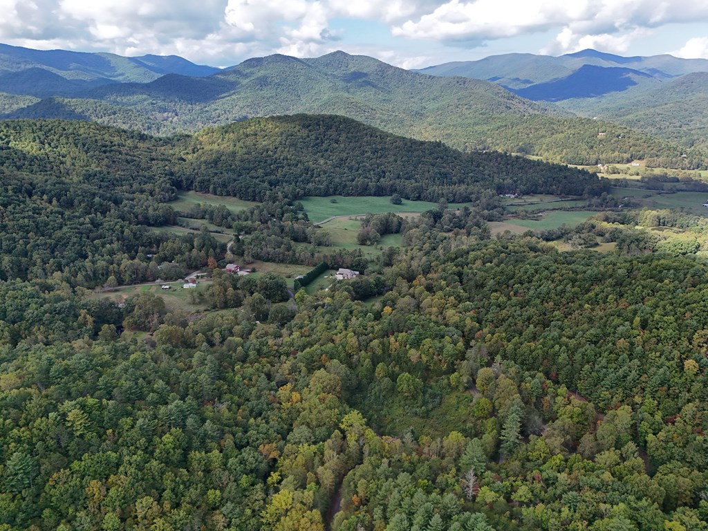 0 Mill Creek Road Hiawassee, GA 30546 - Photo 7 of 41