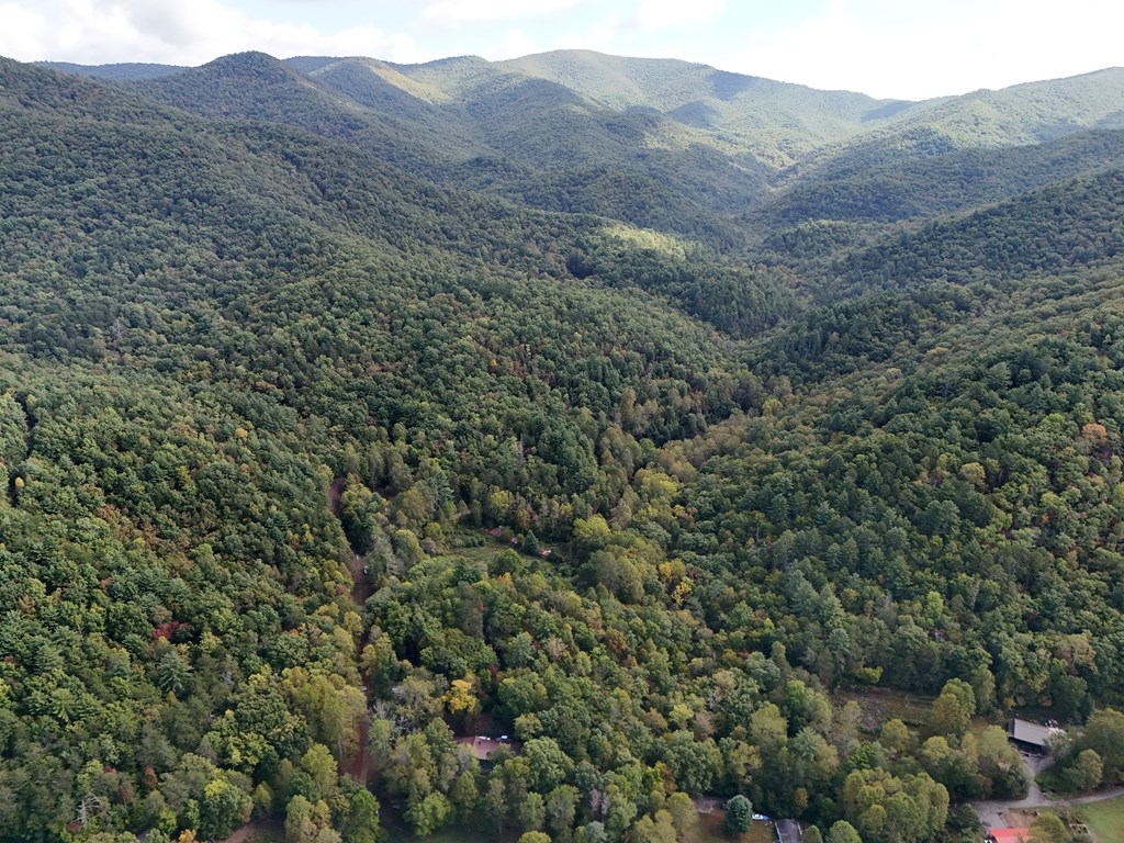 0 Mill Creek Road Hiawassee, GA 30546 - Photo 8 of 41