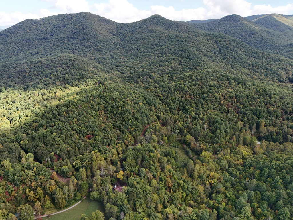 0 Mill Creek Road Hiawassee, GA 30546 - Photo 9 of 41
