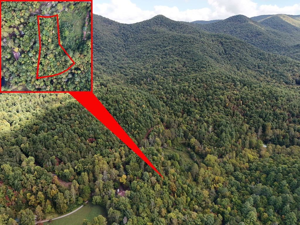 0 Mill Creek Road Hiawassee, GA 30546 - Photo 10 of 41