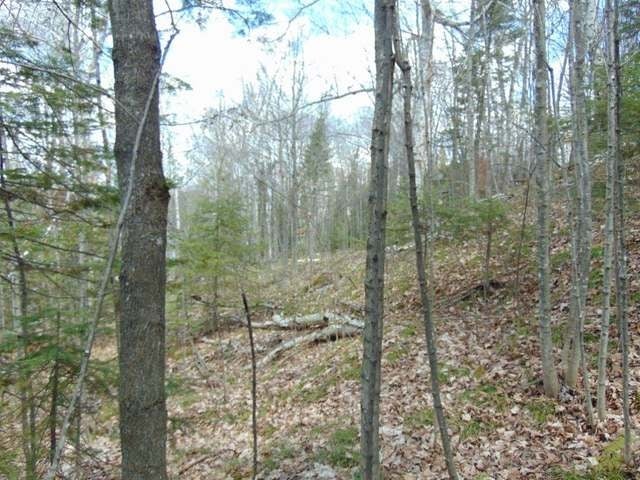 On South Bayview Road Presque Isle, WI 54557 - Photo 16 of 19 Gallery Image 16