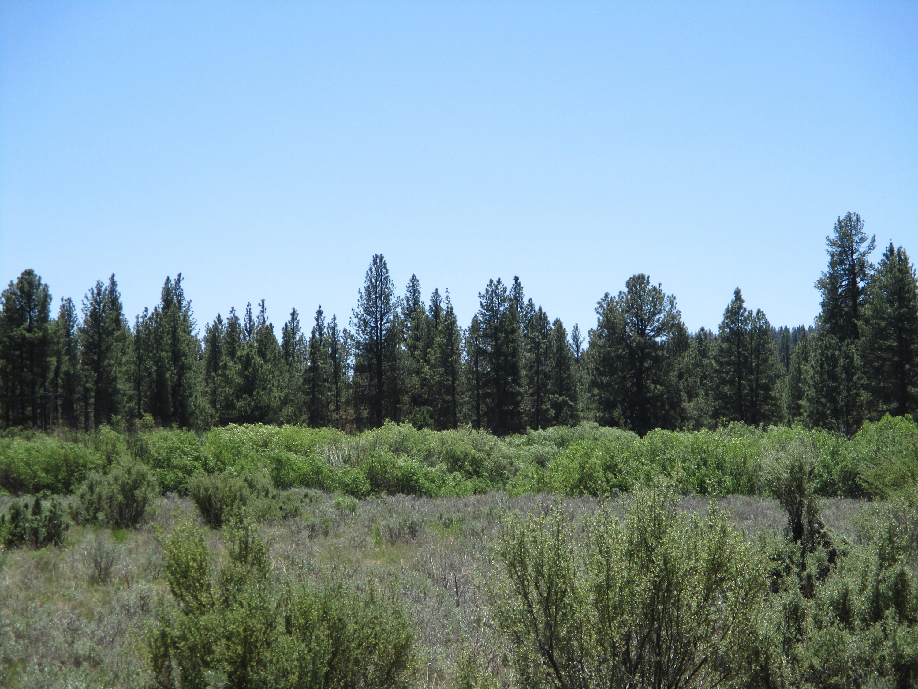 14914 Sprague River Road Chiloquin, OR 97624 - Photo 17 of 42 IMG_1078