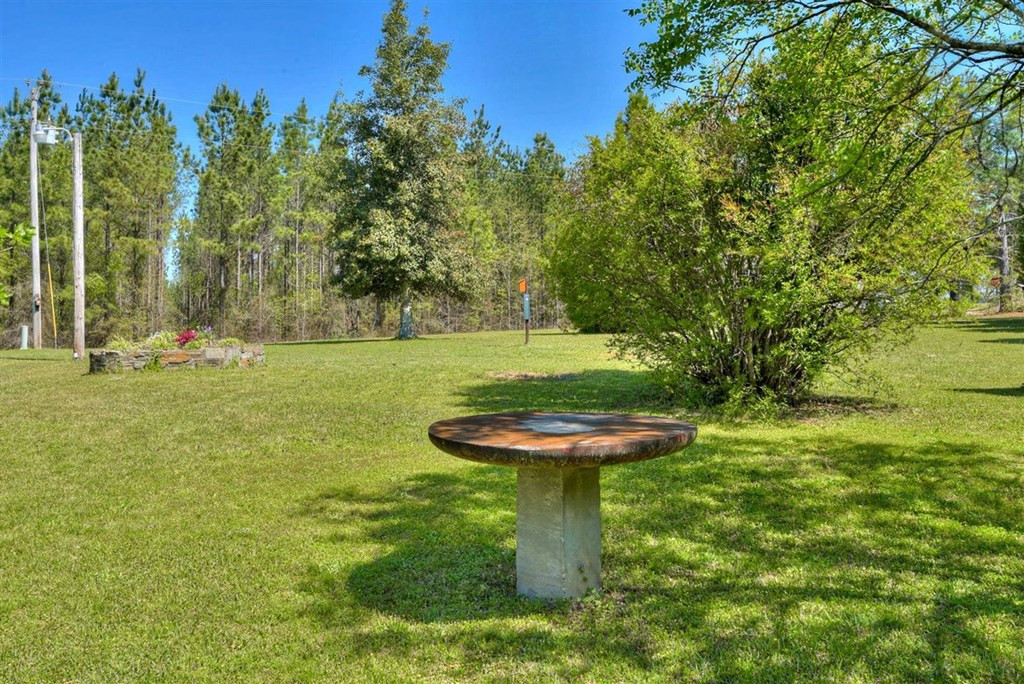 63 Flat Rock Road Modoc, SC 29838 - Photo 23 of 29