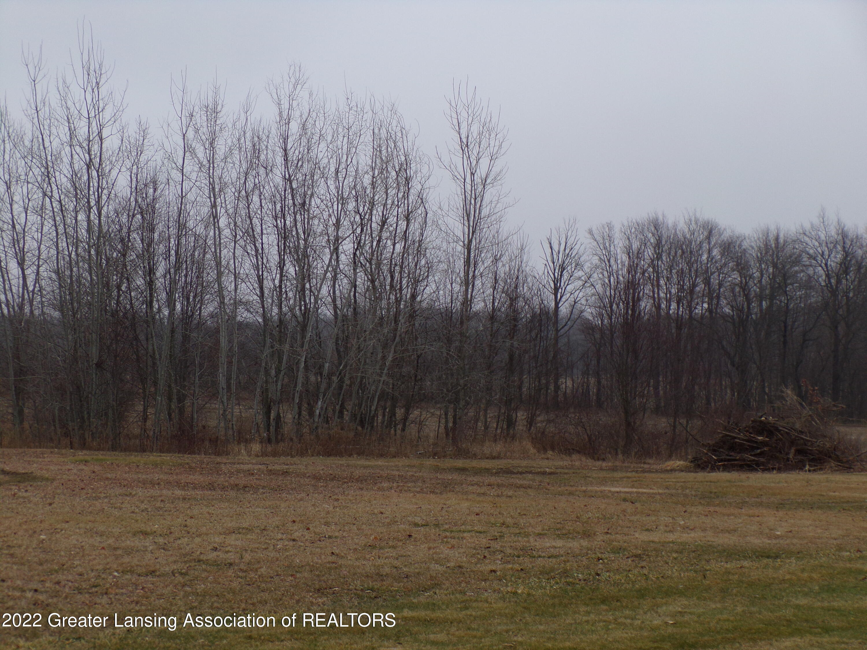 0 South Ainger Road Olivet, MI 49076 - Photo 2 of 15 100_0008