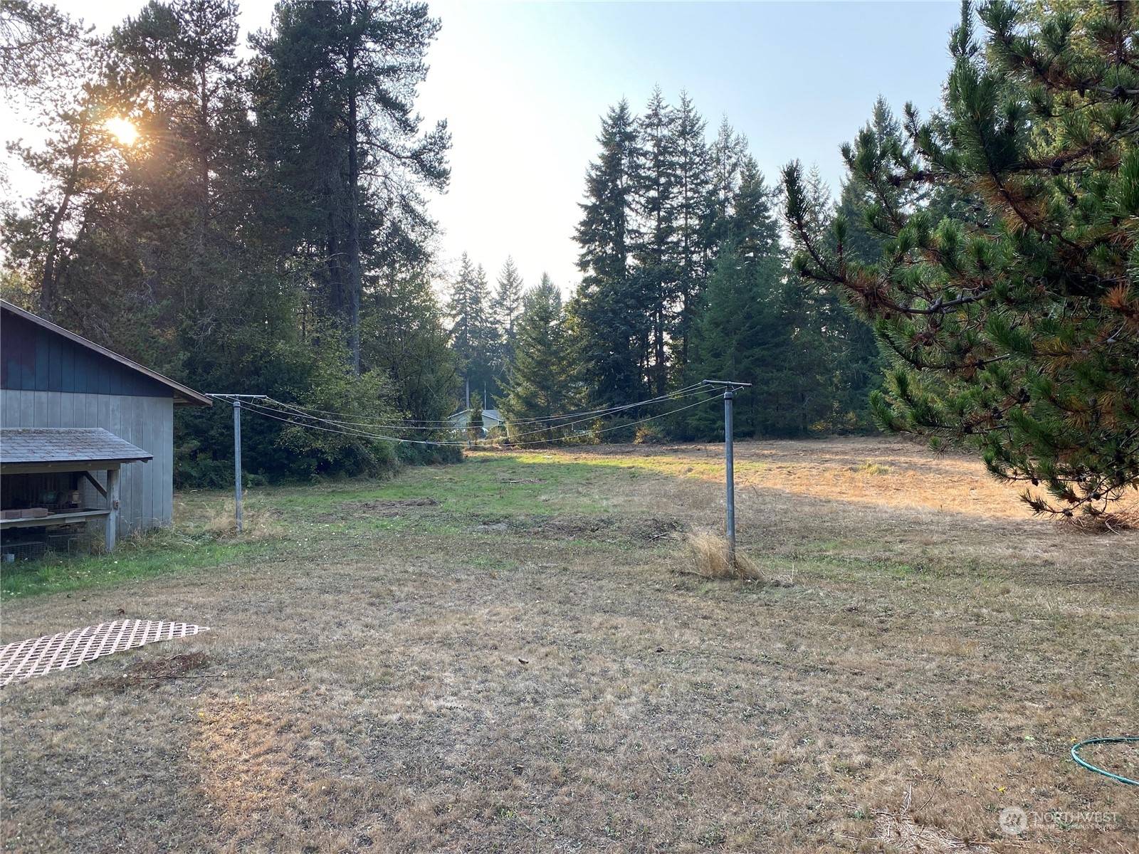 1425 East Victor Road Belfair, WA 98528 - Photo 12 of 19 a backyard of a house with plants and large trees