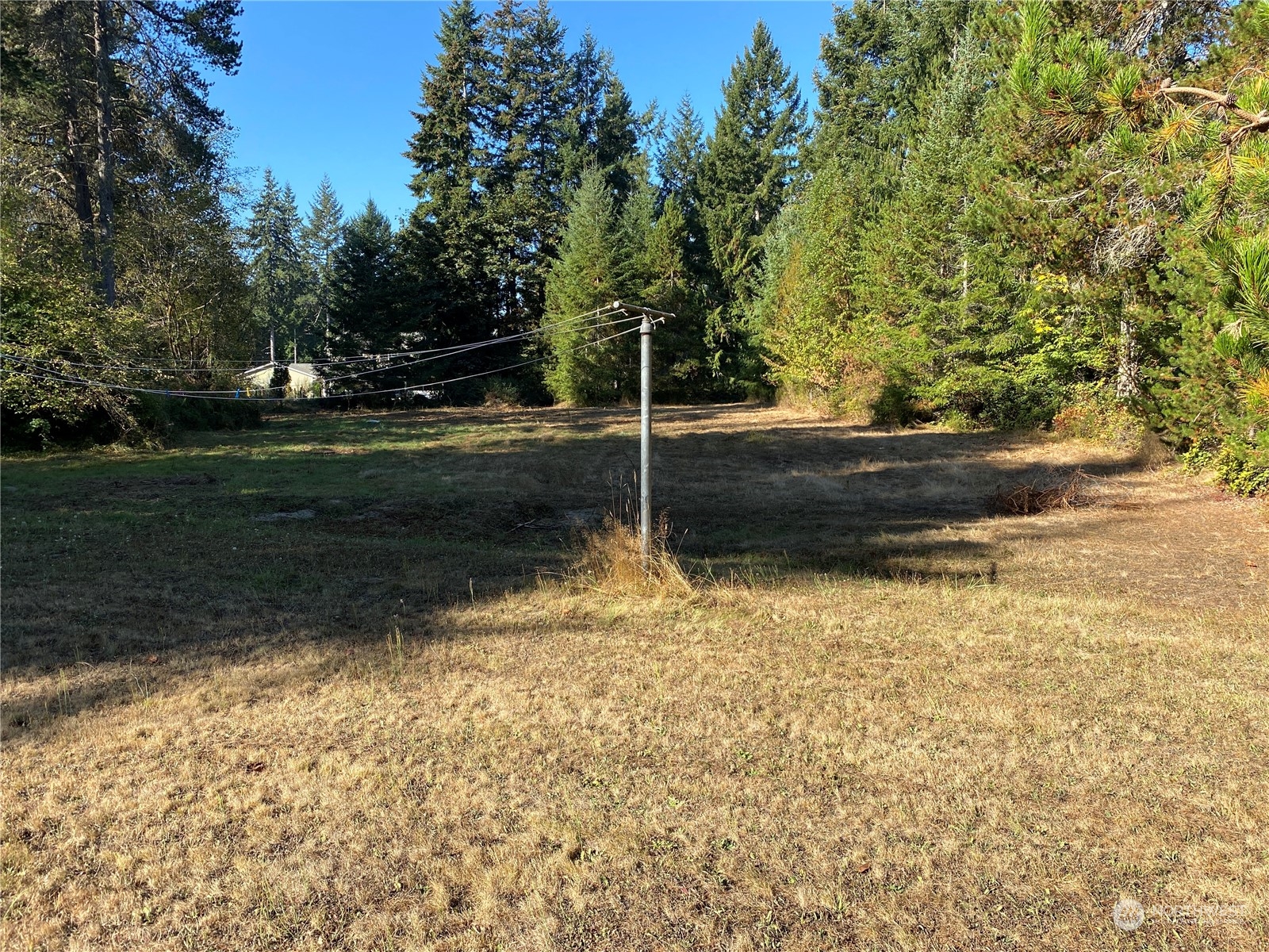 1425 East Victor Road Belfair, WA 98528 - Photo 4 of 19 a backyard of a house with lots of green space