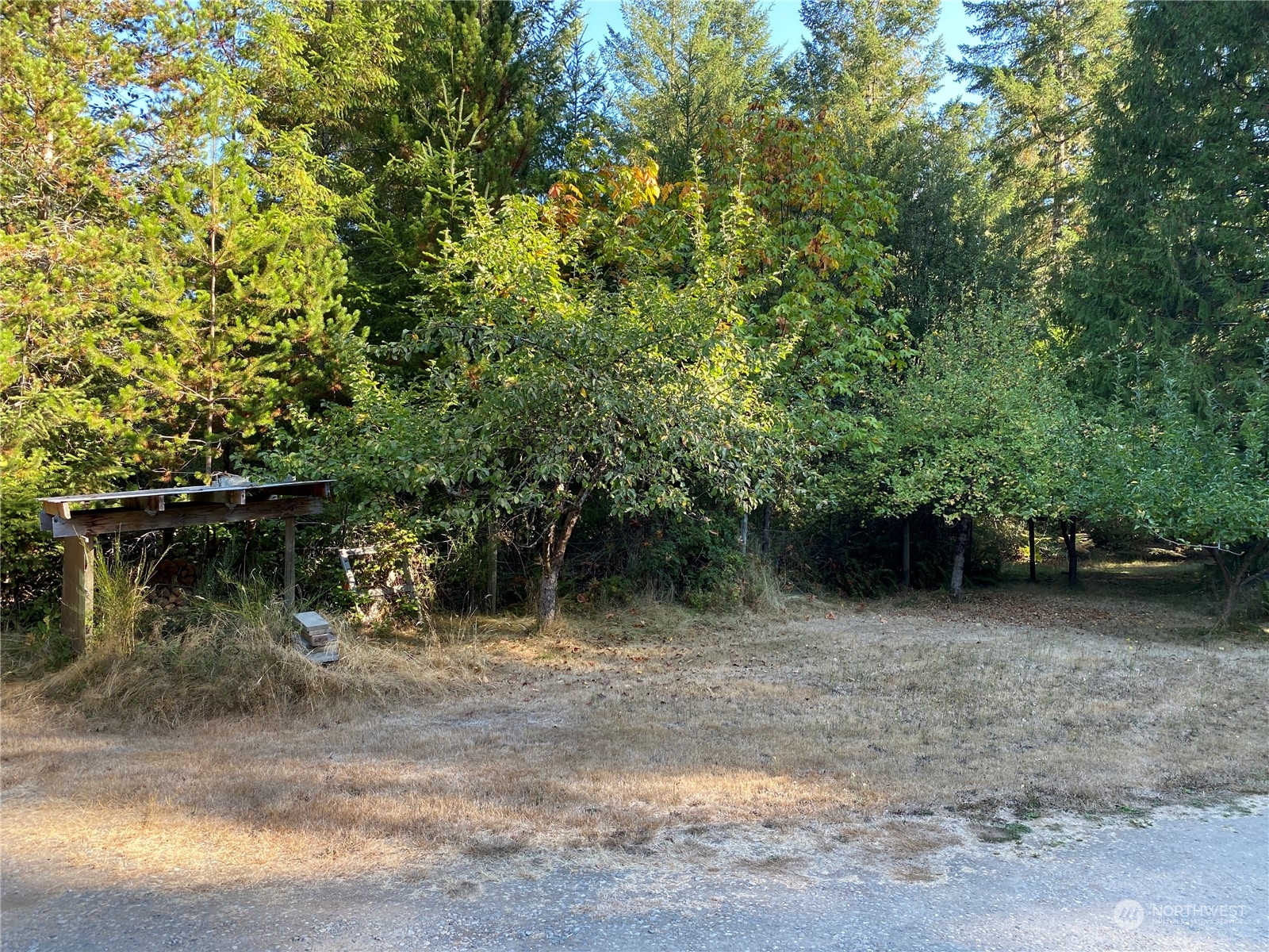 1425 East Victor Road Belfair, WA 98528 - Photo 9 of 19 a view of outdoor space and yard