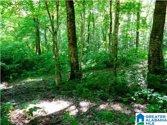 0 Riverview Drive, Unit 116 Cleveland, AL 35049 - Photo 22 of 30