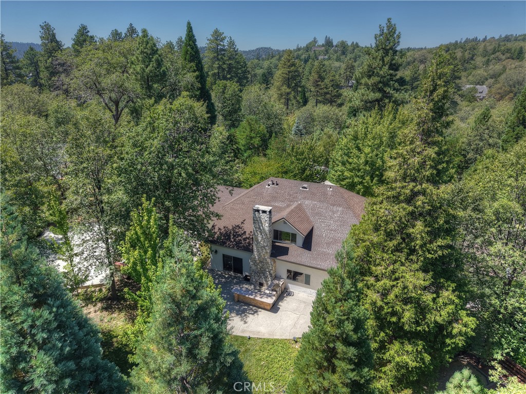28411 North Shore Road Lake Arrowhead, CA 92352 - Photo 57 of 66 an aerial view of a house with yard