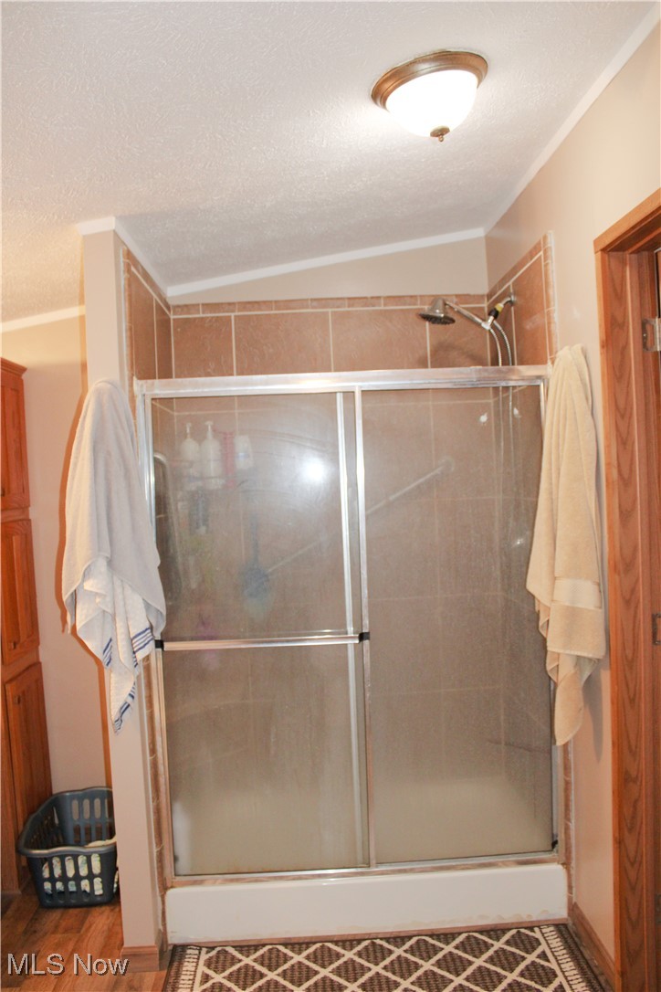 56 3rd Street Rayland, OH 43943 - Photo 21 of 46 Full bathroom with ornamental molding, a textured ceiling, a stall shower, lofted ceiling, and wood finished floors