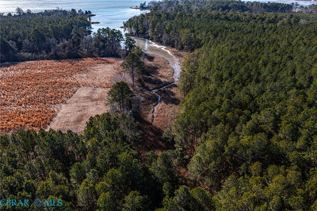 Lot 44 Skipjack Road Kinsale, VA 22488 - Photo 7 of 29